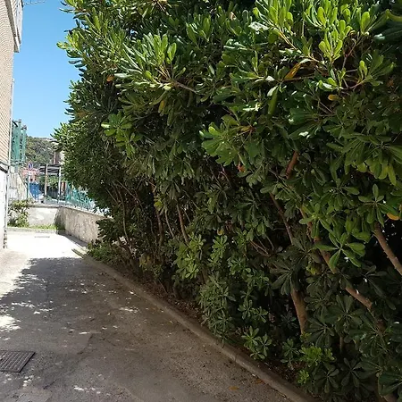 Via Lucullo Διαμέρισμα
